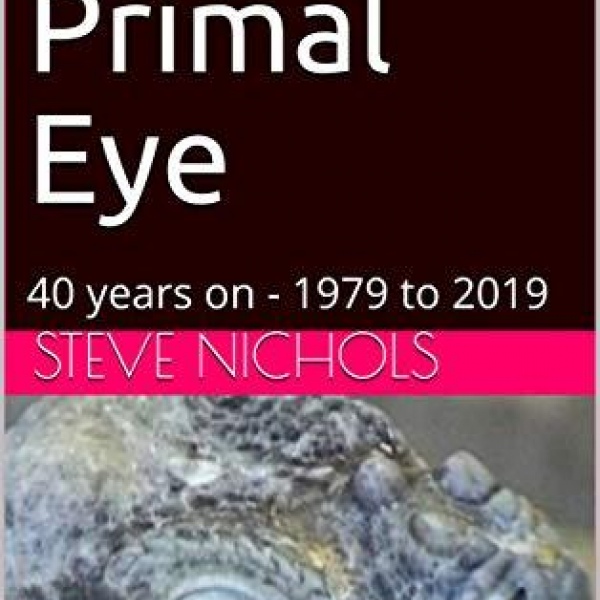 The Primal Eye